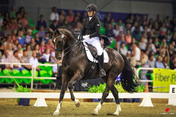 NZ National Dressage Susan Tomlin.jpg